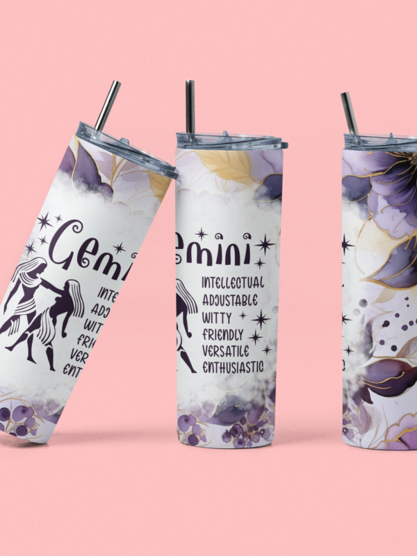 gemini tumbler - Dheeth By Nature