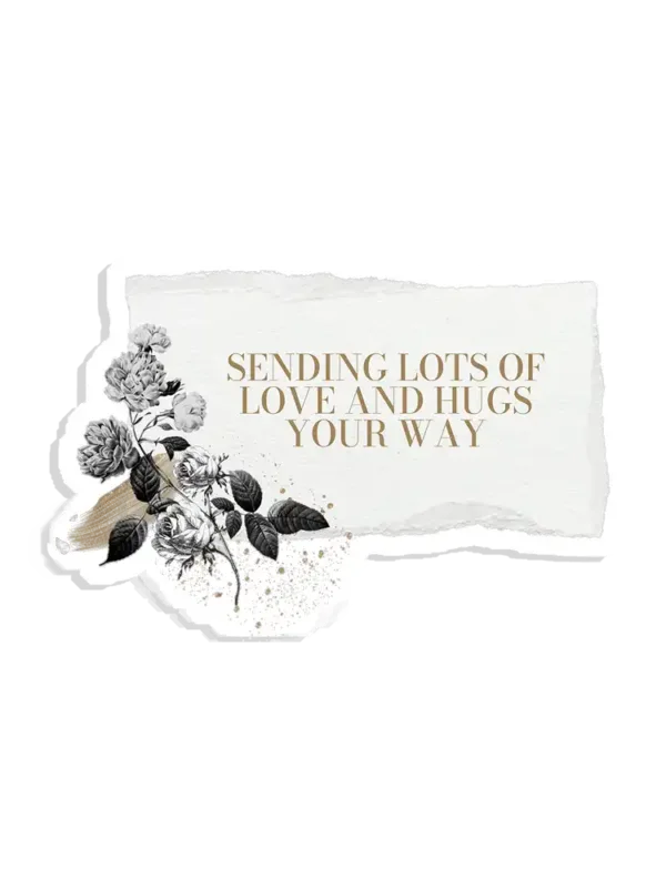 Sending lots of love and hugs your way Sticker