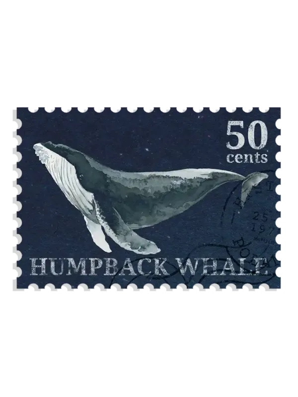 Whale Stamp Sticker