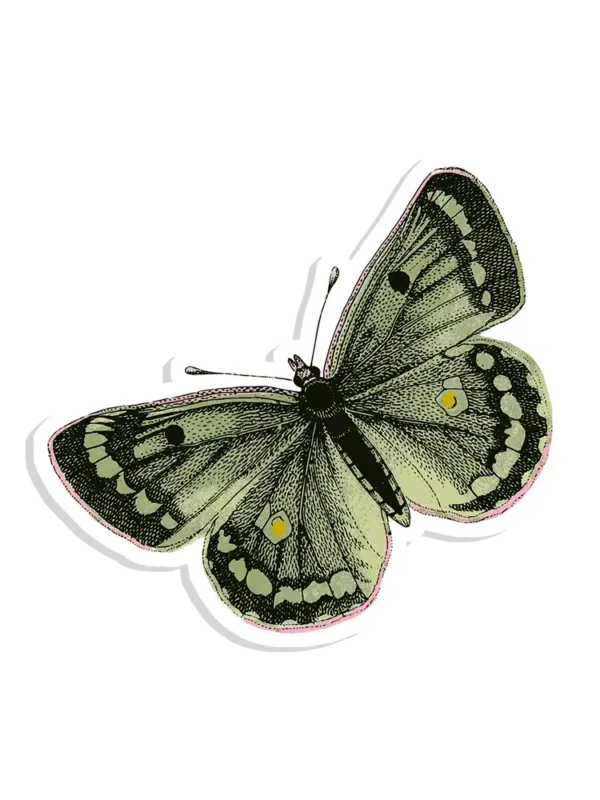 Retro Butterfly Sticker