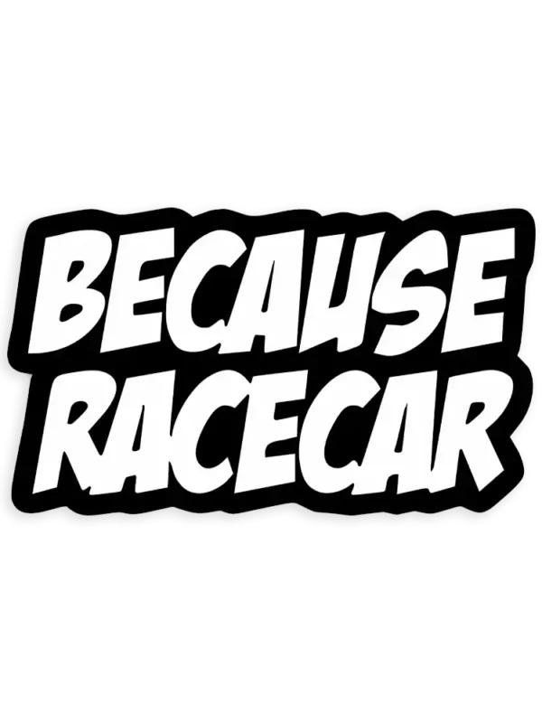 Because Racecar Sticker
