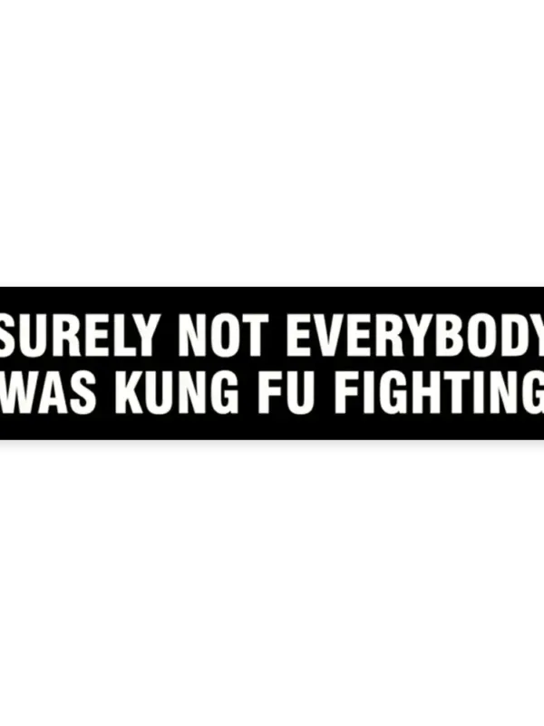 Surely not everybody was kung fu fighting  Sticker