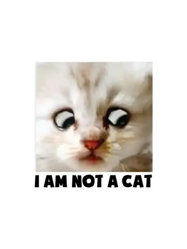 I'm not a cat Sticker