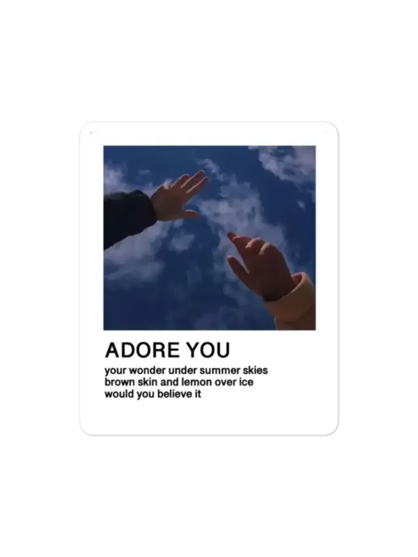 Harry Styles Adore You Polaroid Sticker