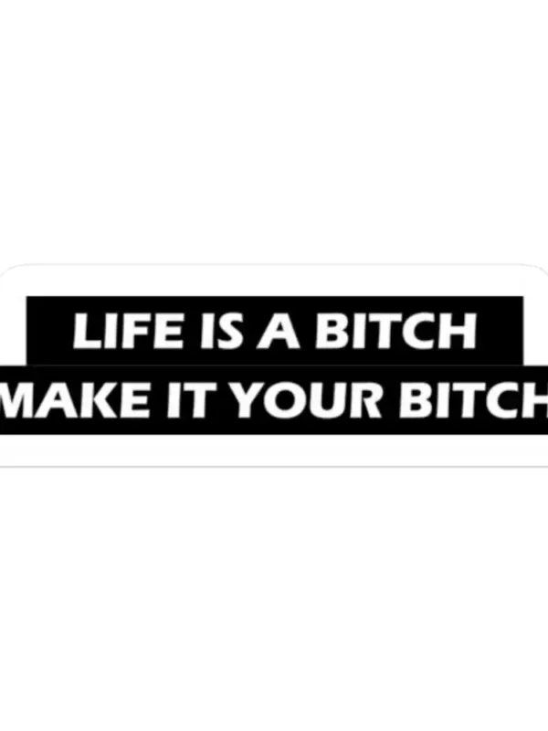 Life is a bitch Make it your bitch Sticker