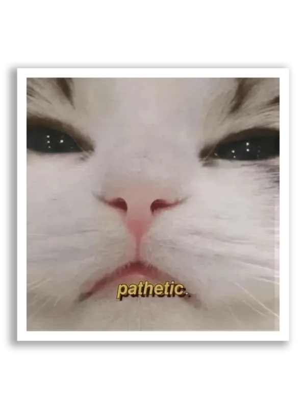 Pathetic Cat Close-Up Sticker