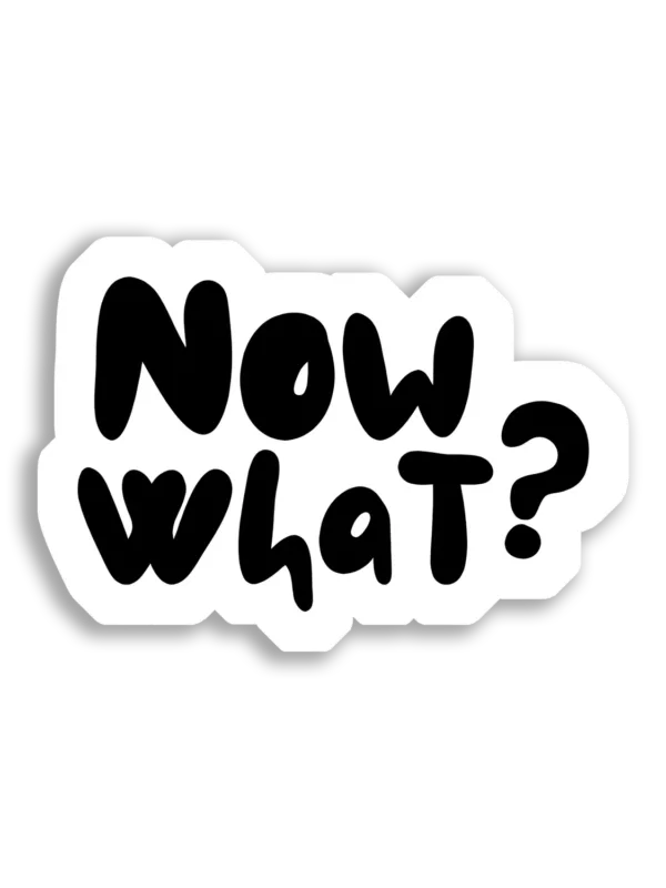 Now What Sticker Meme Sticker