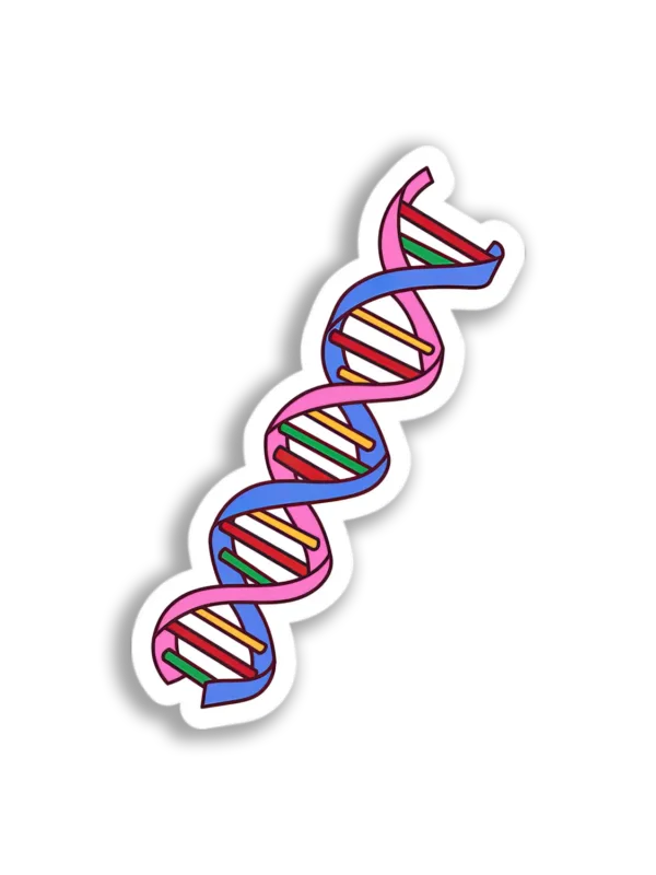 Colorful DNA Strand Sticker